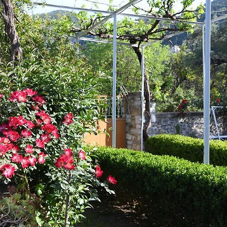Art Flowers&Culture Mystras Exterior foto