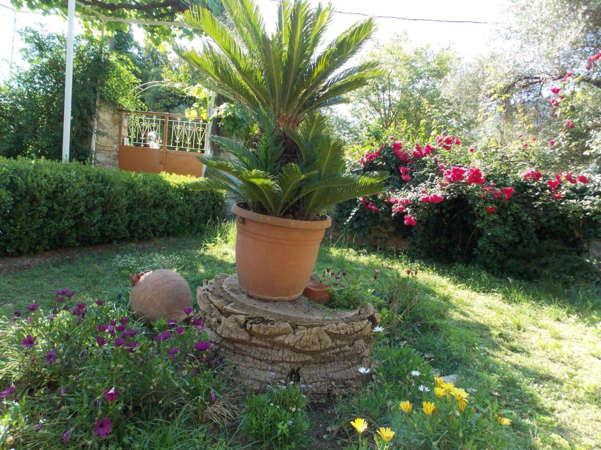 Art Flowers&Culture Mystras Exterior foto